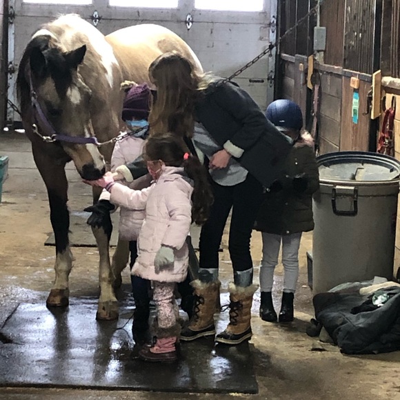 Meet your Posher, Gail - Picture 9 of 14